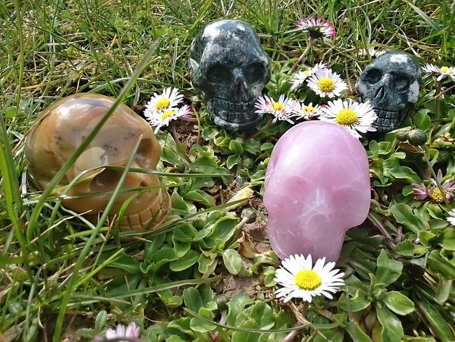 Sona möchte auch eine Blume...