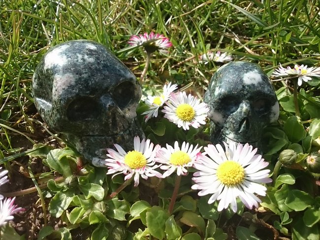 Gordon und Bahar beim Blümchen schnuppern