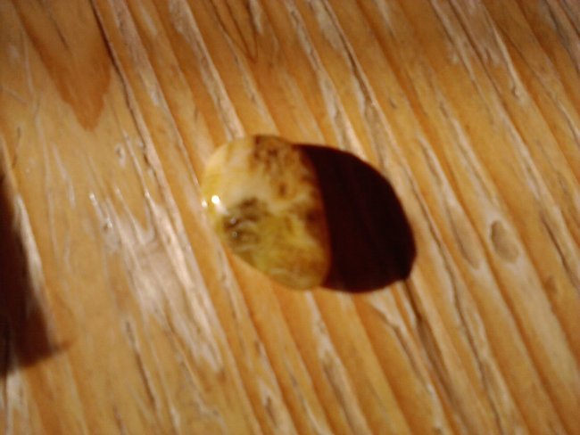 P080415_16.43.jpg