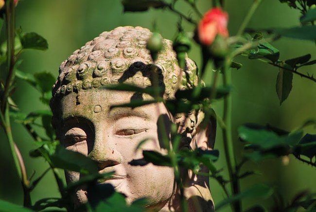 buddhakopf.jpg