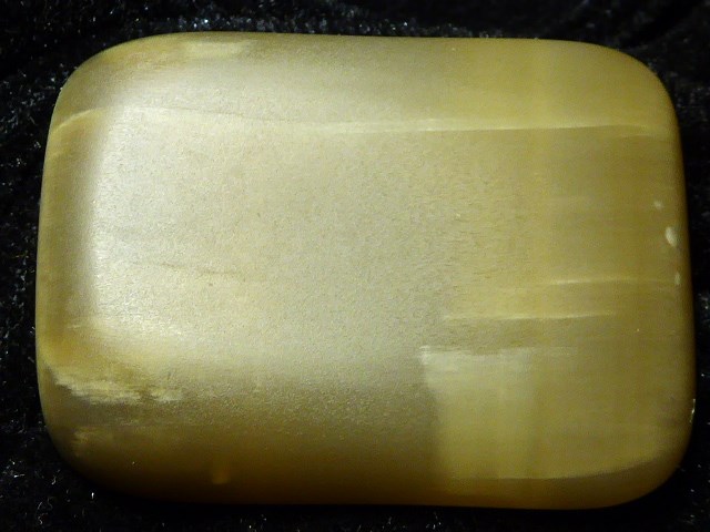 P1410021.JPG