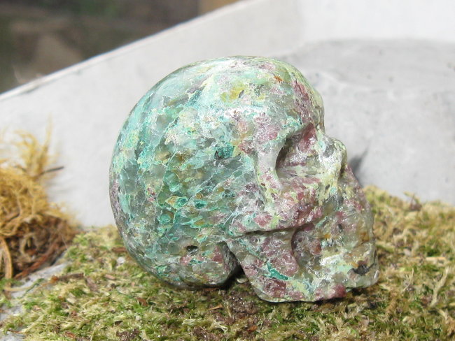 skull onbekend (2).jpg