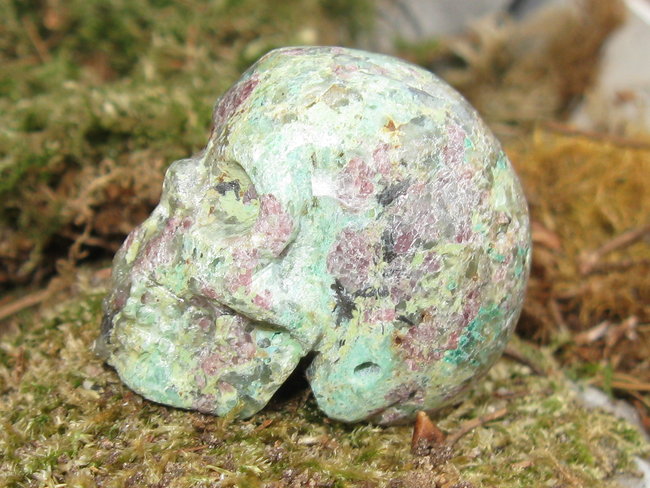 skull onbekend (3).jpg