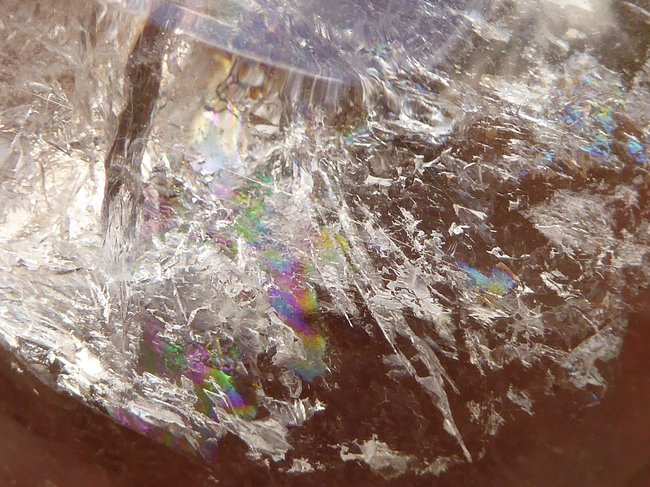 P1410895a.jpg