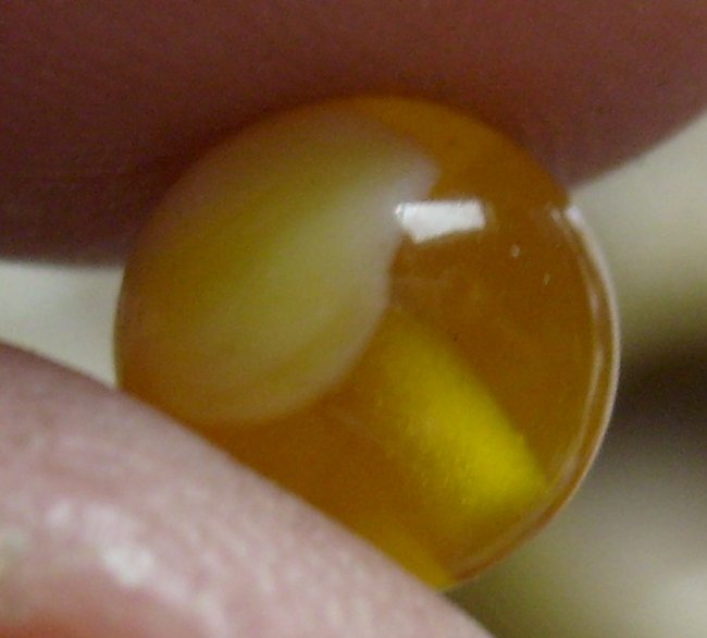 bienenwachs0014.jpg