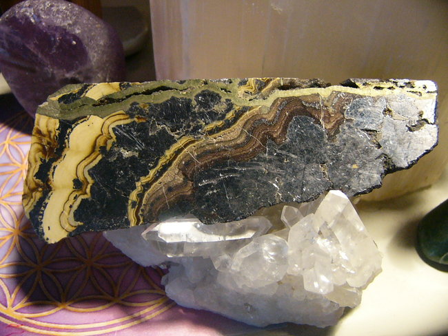 Schalenblende
