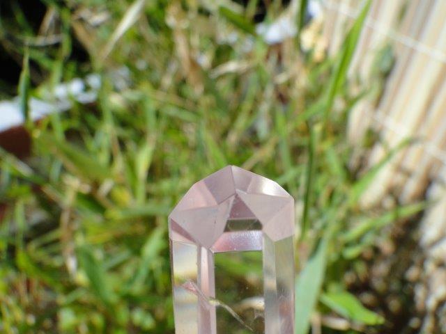 DSC08470.jpg