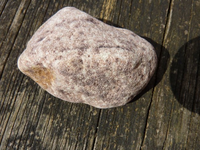 unbekannt trocken Travemünde Apr 15.JPG