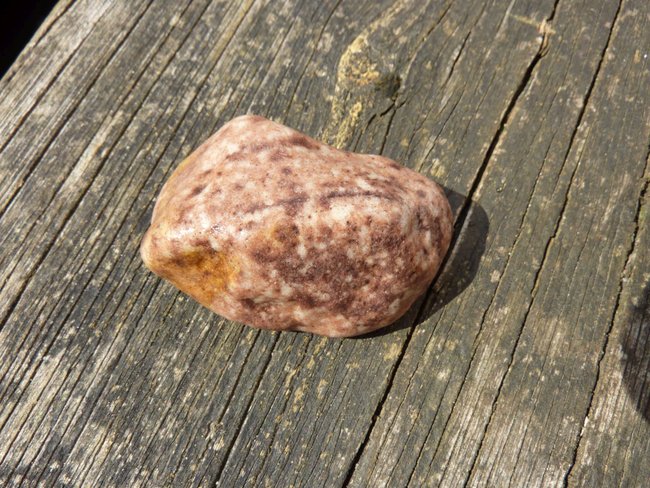 unbekannt feucht1 Travemünde Apr 15.JPG