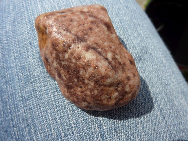 unbekannt feucht2 Travemünde Apr 15.JPG