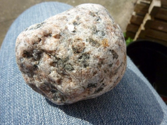wahrscheinlich Granit2 Apr 15.JPG