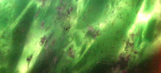 Details im Durchlicht