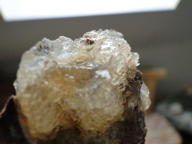 DSC08717.jpg