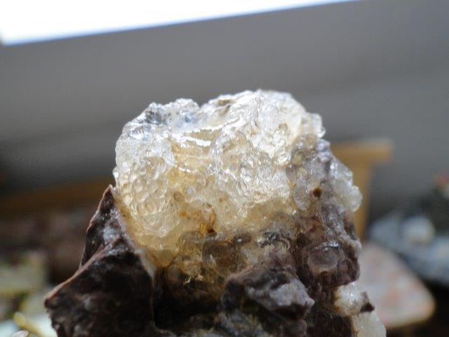 DSC08718.jpg