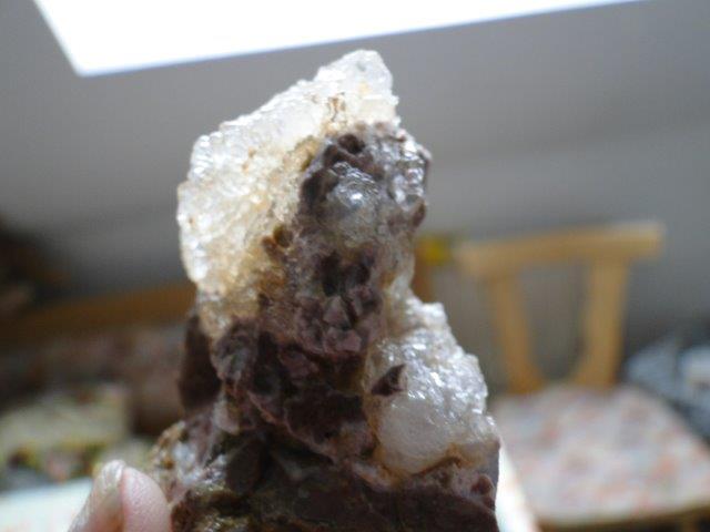 DSC08719.jpg