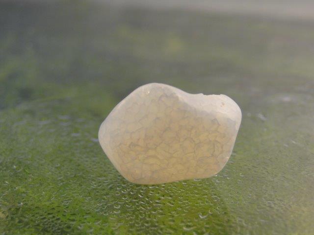 DSC08942.jpg