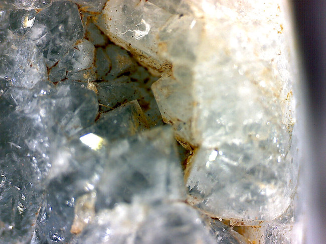 Ozeaner11.jpg