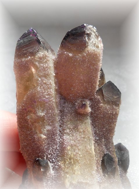 Amethyst89.JPG
