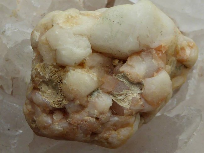 Fossil3.jpg