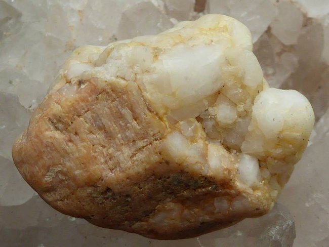 Fossil5.jpg