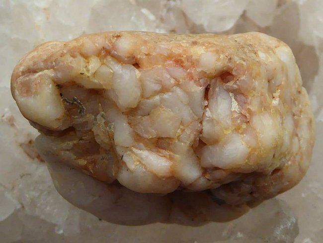 Fossil6.jpg