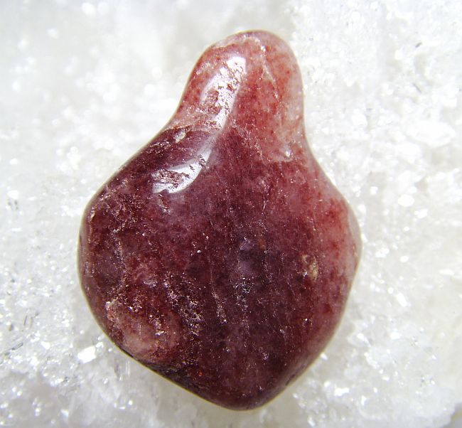 erdbeere1.jpg