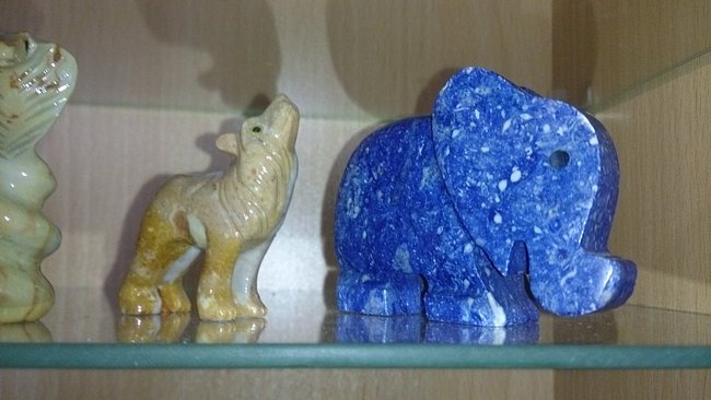 Wolf und Elephant