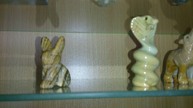 Hase und Schlange