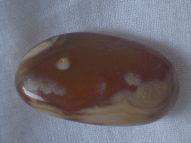 Rückseite