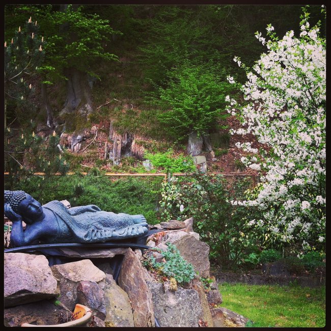 Mein Garten