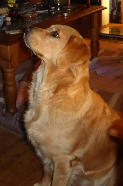 geburtstagsständchen.jpg