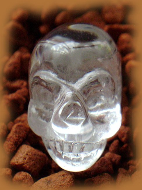 doppel skull 03.jpg