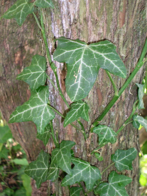g 025.jpg