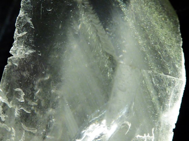 P1450214a.jpg