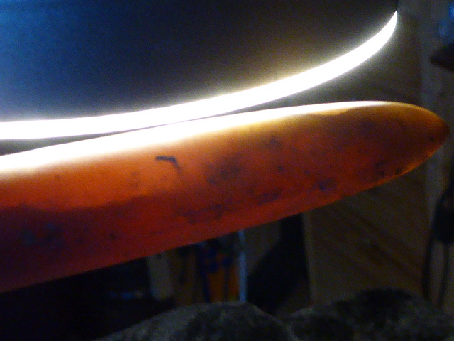 P1460435.JPG