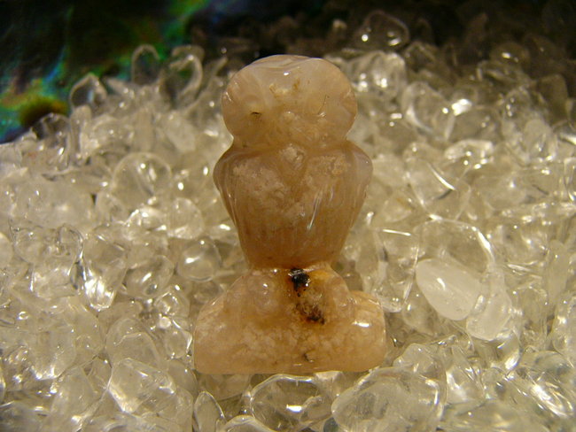 Rosa Moosachat