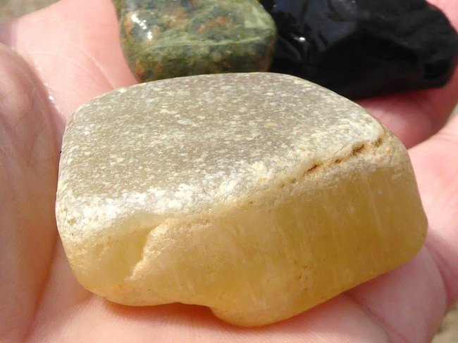 gelb.jpg