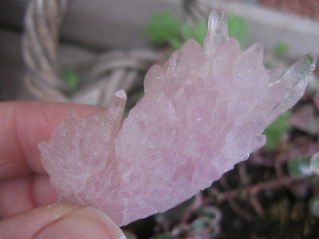 rosenquartz