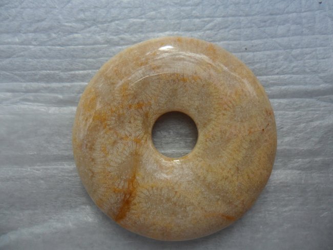 Koralle Donut hell, 40mm
