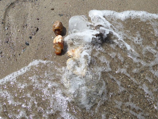 Herzensenergie für das Meer2.jpg