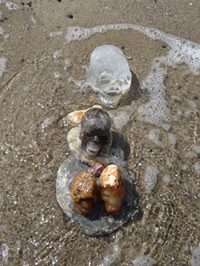 Herzensenergie für das Meer3.jpg