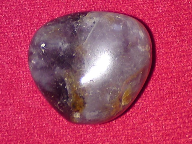 Rückseite