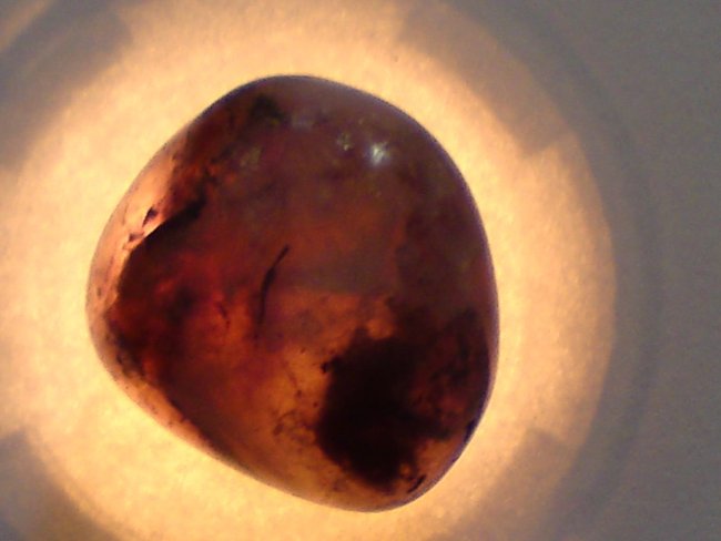 Rückseite Durchlicht
