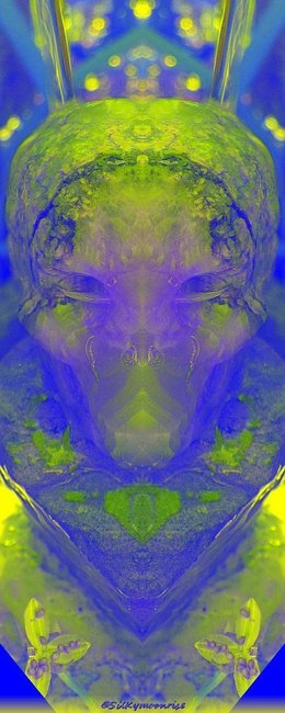 IMG_0461 (2)aa.jpg