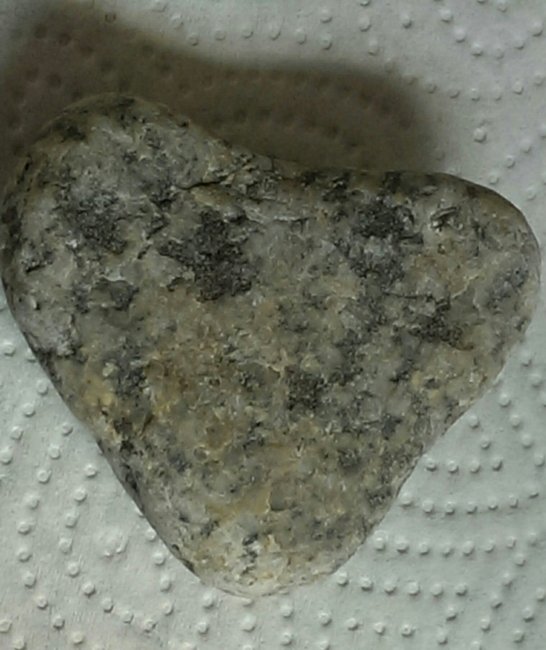IMAG3460_1.jpg