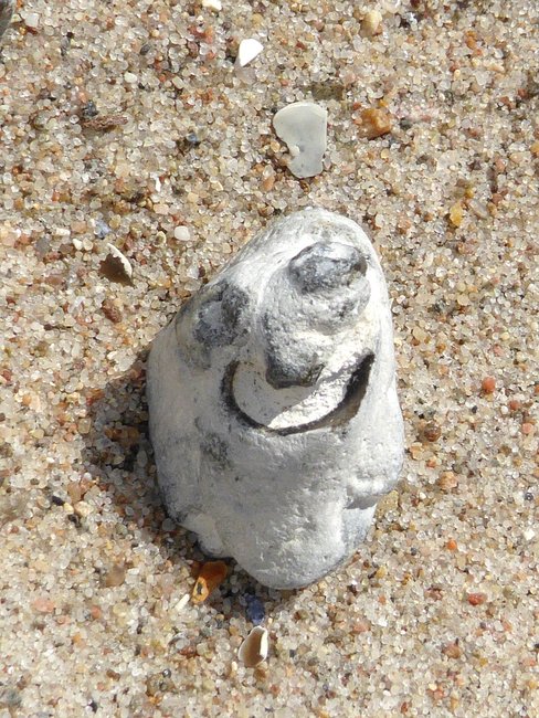 P1500107a.jpg