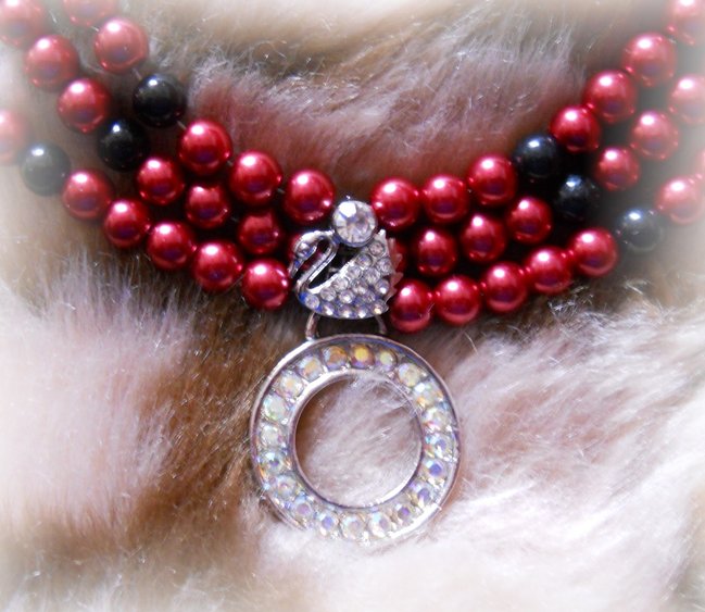 Halsband25.JPG