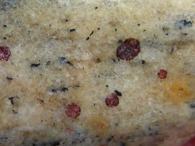 granatgneis2.jpg