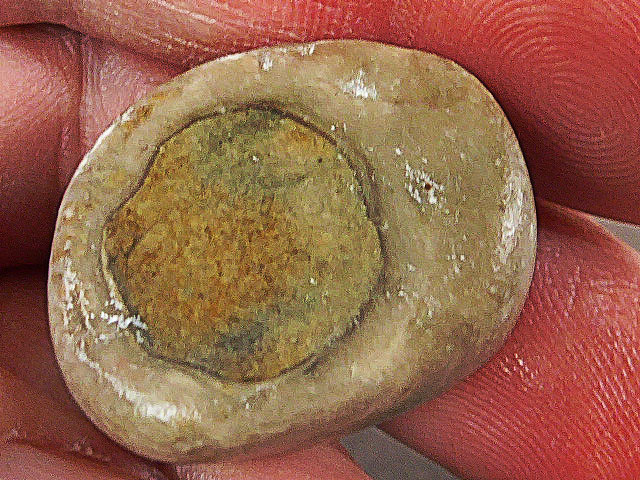 P1500531a.jpg