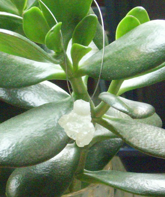aquamarinchen.jpg